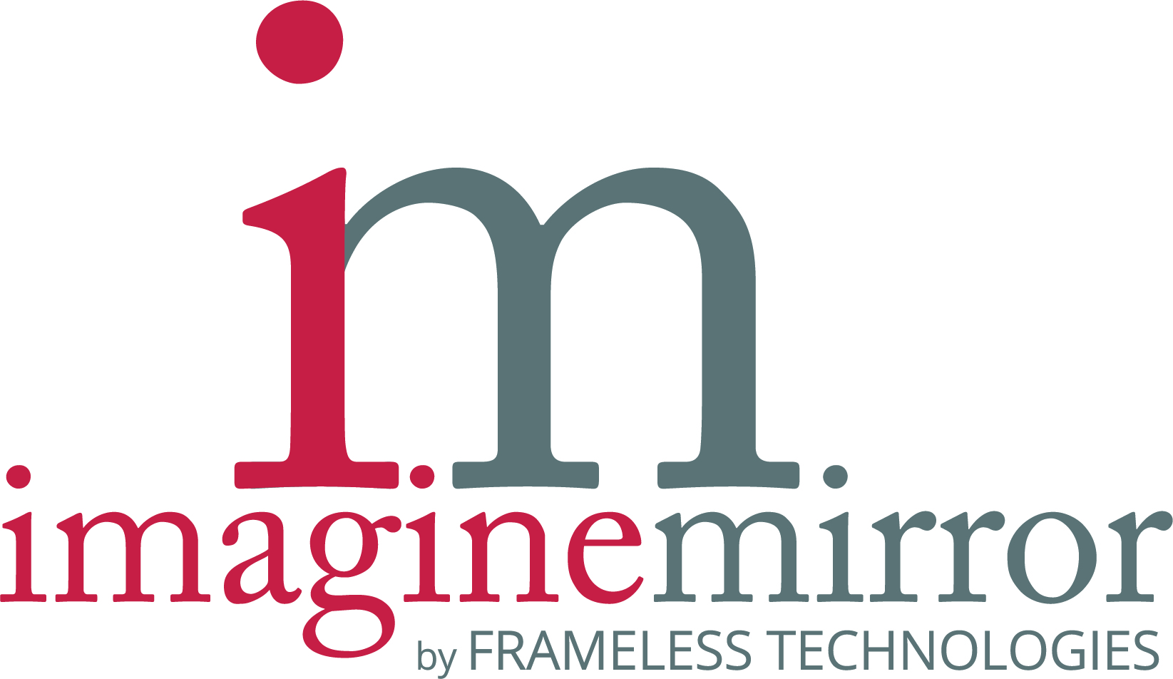 Imagine Mirror logo