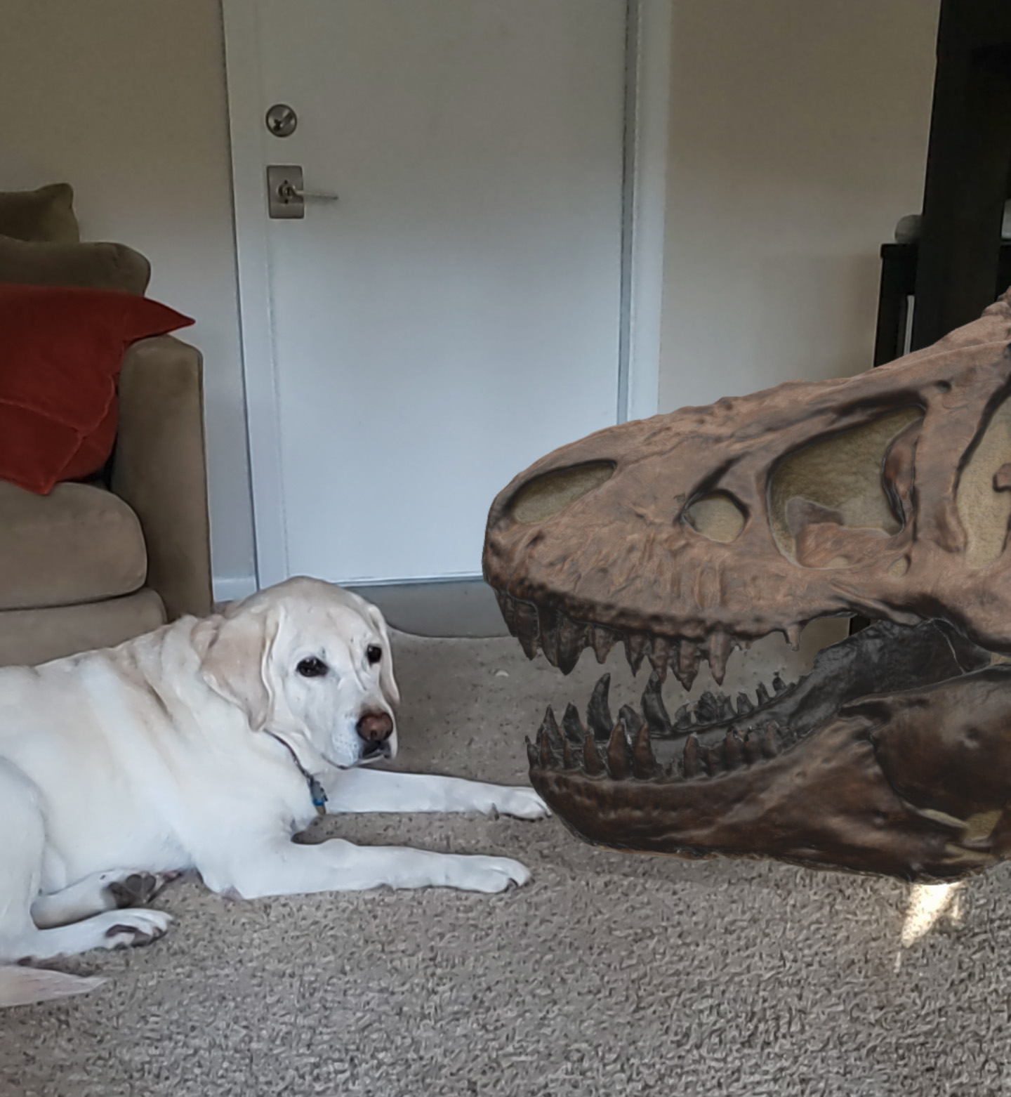 Augmented reality T-rex next to dog